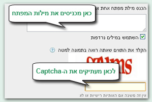 אפשר הצגת תמונות כדי לראות את התמונה | כלי מילות מפתח - חיפוש ביטויים