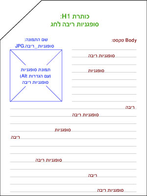 אופטימיזציה ברמת העמוד